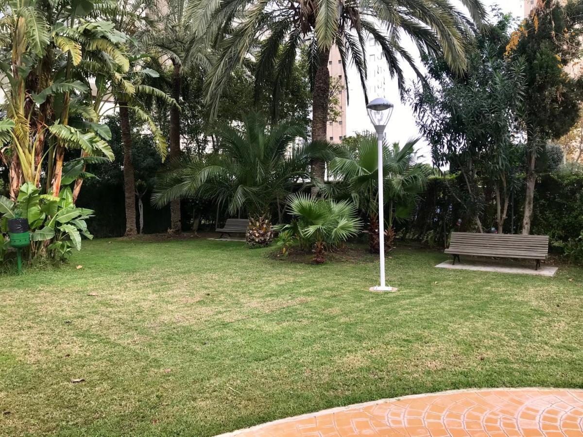 Apartamento Coffee Beach En Parque Europa Benidorm Kültér fotó