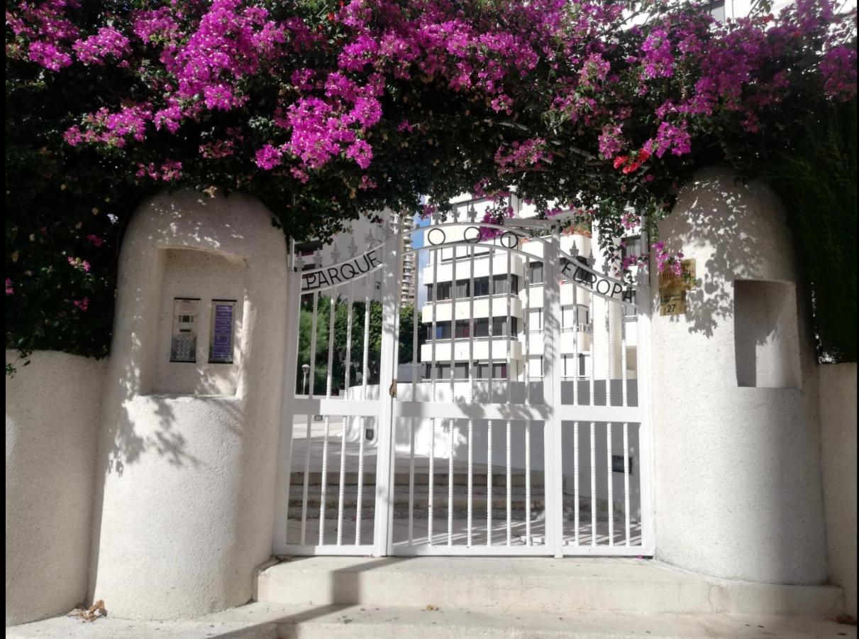 Apartamento Coffee Beach En Parque Europa Benidorm Kültér fotó