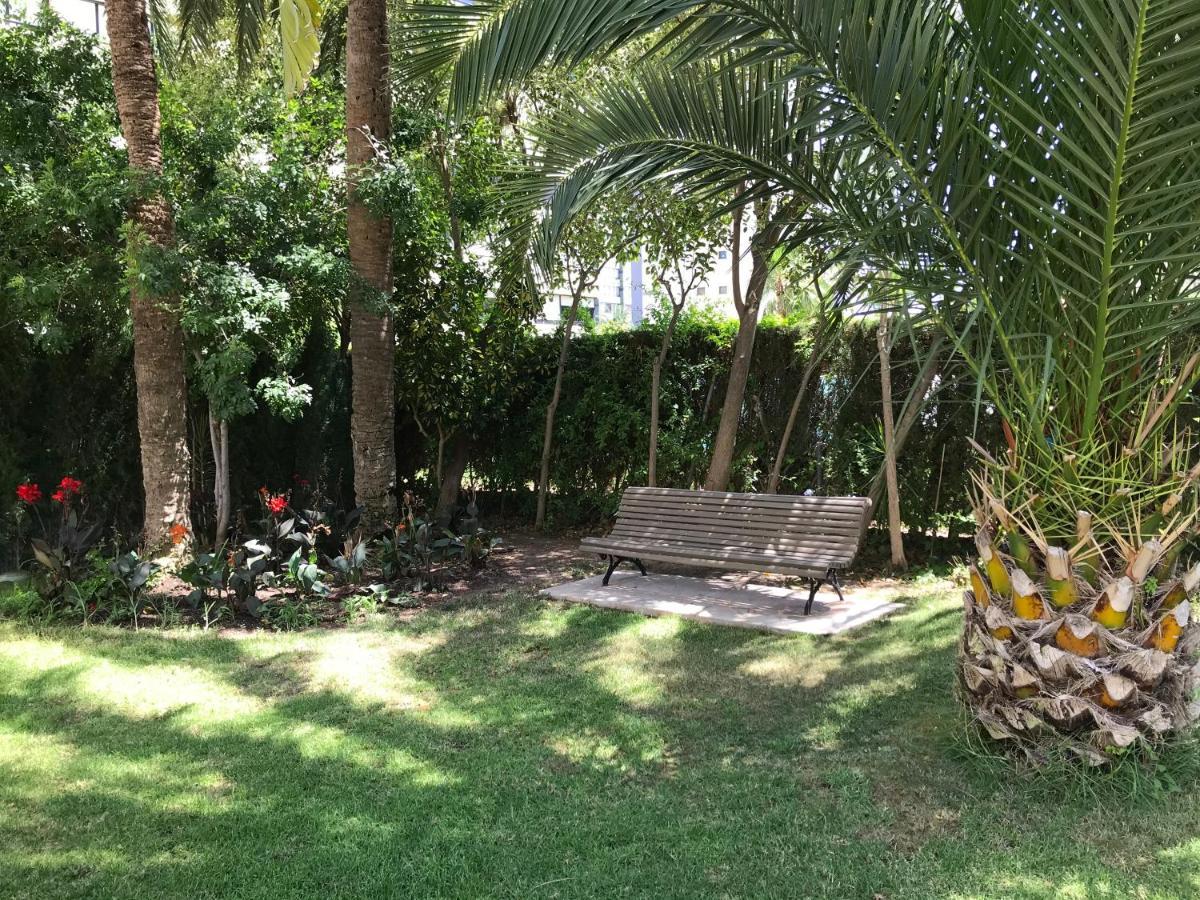 Apartamento Coffee Beach En Parque Europa Benidorm Kültér fotó
